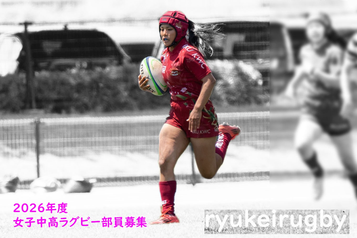 o唐qOr[̎ʐ^