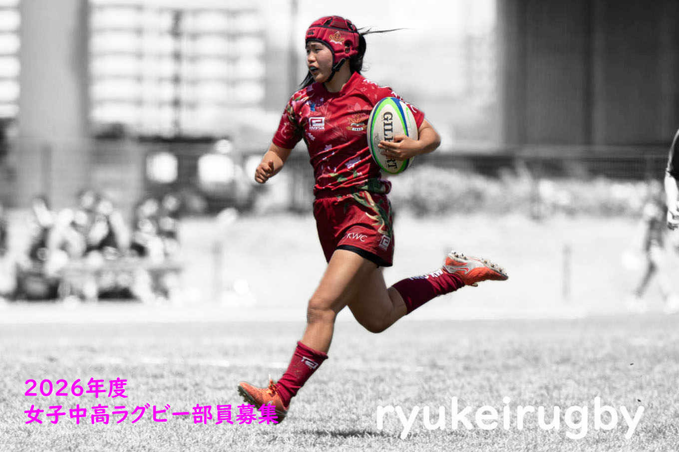 o唐qOr[̎ʐ^