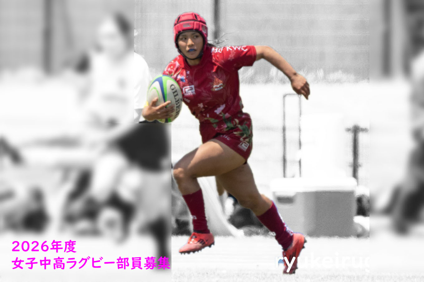 o唐qOr[̎ʐ^