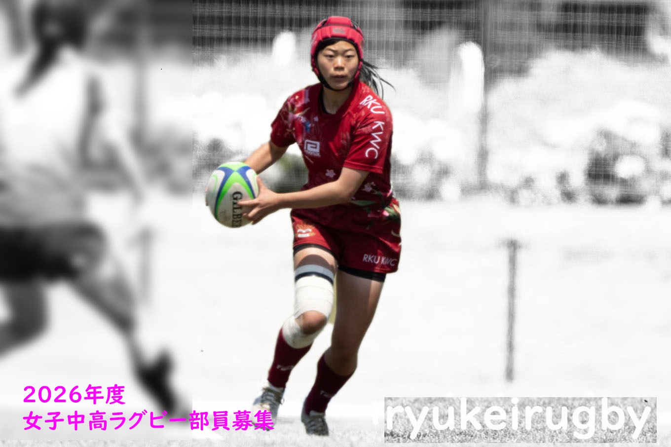 o唐qOr[̎ʐ^