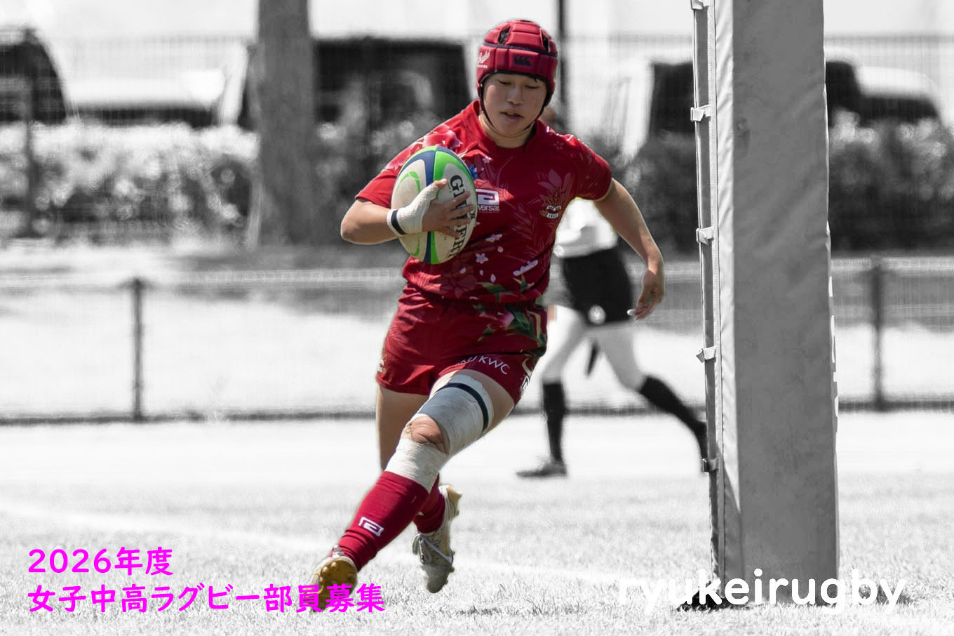 o唐qOr[̎ʐ^